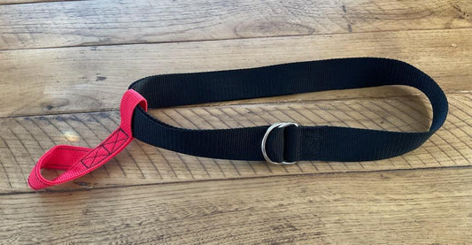 Ski Holster and Nylon Belt Combo