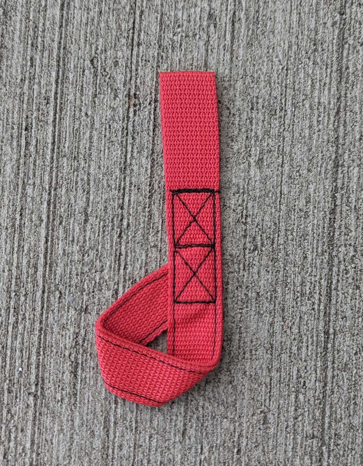 Ski Holster